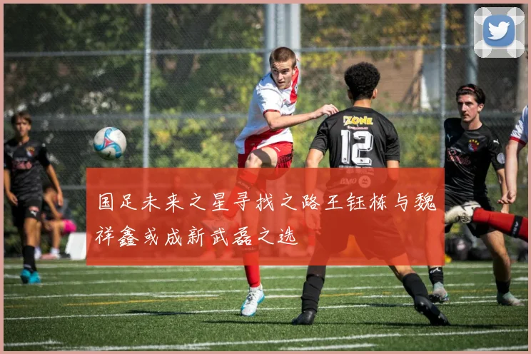 国足未来之星寻找之路王钰栋与魏祥鑫或成新武磊之选