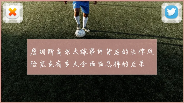 詹姆斯高尔夫球事件背后的法律风险究竟有多大会面临怎样的后果